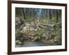 Grey Wolf Mother and Pups-Robert Wavra-Framed Giclee Print