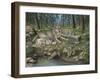 Grey Wolf Mother and Pups-Robert Wavra-Framed Giclee Print