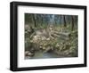 Grey Wolf Mother and Pups-Robert Wavra-Framed Premium Giclee Print