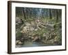 Grey Wolf Mother and Pups-Robert Wavra-Framed Giclee Print