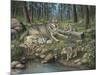 Grey Wolf Mother and Pups-Robert Wavra-Mounted Giclee Print