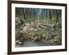 Grey Wolf Mother and Pups-Robert Wavra-Framed Premium Giclee Print