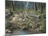 Grey Wolf Mother and Pups-Robert Wavra-Mounted Premium Giclee Print