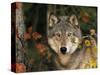 Grey Wolf Portrait, USA-Lynn M^ Stone-Stretched Canvas