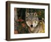 Grey Wolf Portrait, USA-Lynn M^ Stone-Framed Premium Photographic Print