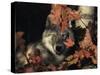 Grey Wolf Portrait with Autumn Leaves, USA-Lynn M. Stone-Stretched Canvas