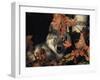 Grey Wolf Portrait with Autumn Leaves, USA-Lynn M. Stone-Framed Premium Photographic Print