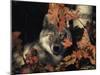 Grey Wolf Portrait with Autumn Leaves, USA-Lynn M. Stone-Mounted Premium Photographic Print