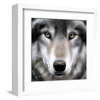 Grey Wolf Portrait-Sarah Stribbling-Framed Art Print