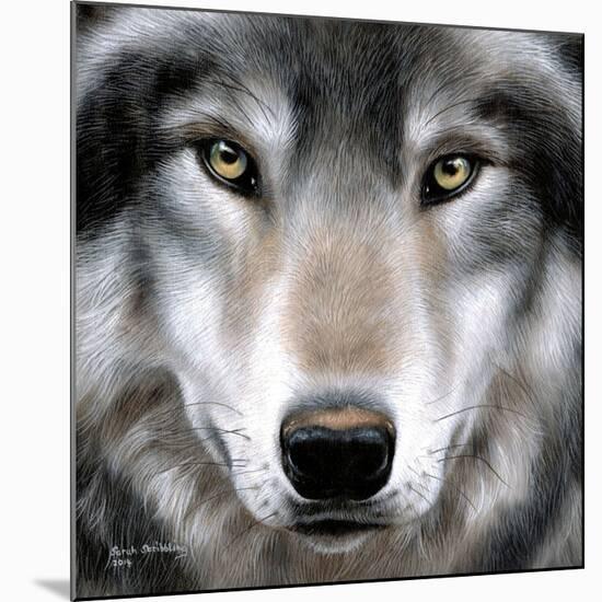 Grey Wolf Portrait-Sarah Stribbling-Mounted Art Print