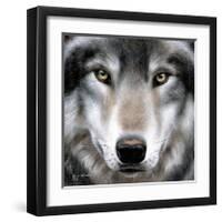 Grey Wolf Portrait-Sarah Stribbling-Framed Giclee Print