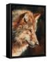 Grey Wolf Portrait-David Stribbling-Framed Stretched Canvas