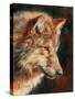 Grey Wolf Portrait-David Stribbling-Stretched Canvas