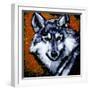 Grey Wolf-null-Framed Art Print