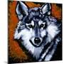 Grey Wolf-null-Mounted Premium Giclee Print