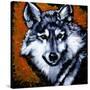 Grey Wolf-null-Stretched Canvas