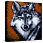 Grey Wolf-null-Stretched Canvas