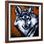 Grey Wolf-null-Framed Art Print