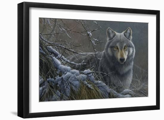 Grey Wolf-Jeremy Paul-Framed Giclee Print