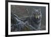 Grey Wolf-Jeremy Paul-Framed Giclee Print