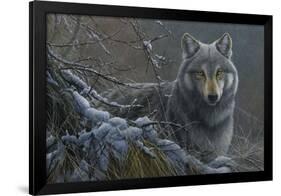 Grey Wolf-Jeremy Paul-Framed Giclee Print