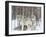 Grey wolves huddle together during a snowstorm, Quebec-null-Framed Giclee Print