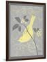 Grey & Yellow Bird I-Gwendolyn Babbitt-Framed Art Print