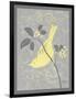 Grey & Yellow Bird I-Gwendolyn Babbitt-Framed Art Print