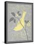 Grey & Yellow Bird I-Gwendolyn Babbitt-Framed Stretched Canvas