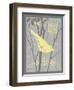 Grey & Yellow Bird II-Gwendolyn Babbitt-Framed Art Print