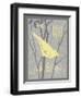 Grey & Yellow Bird II-Gwendolyn Babbitt-Framed Art Print