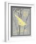 Grey & Yellow Bird II-Gwendolyn Babbitt-Framed Art Print