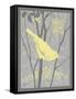 Grey & Yellow Bird II-Gwendolyn Babbitt-Framed Stretched Canvas