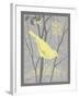 Grey & Yellow Bird II-Gwendolyn Babbitt-Framed Art Print