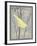 Grey & Yellow Bird II-Gwendolyn Babbitt-Framed Art Print