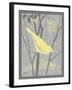 Grey & Yellow Bird II-Gwendolyn Babbitt-Framed Art Print