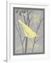 Grey & Yellow Bird II-Gwendolyn Babbitt-Framed Art Print