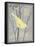 Grey & Yellow Bird II-Gwendolyn Babbitt-Framed Stretched Canvas