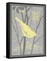 Grey & Yellow Bird II-Gwendolyn Babbitt-Framed Stretched Canvas
