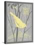 Grey & Yellow Bird II-Gwendolyn Babbitt-Stretched Canvas