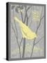 Grey & Yellow Bird II-Gwendolyn Babbitt-Stretched Canvas