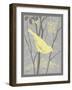 Grey & Yellow Bird II-Gwendolyn Babbitt-Framed Art Print