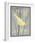 Grey & Yellow Bird II-Gwendolyn Babbitt-Framed Art Print