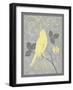 Grey & Yellow Bird III-Gwendolyn Babbitt-Framed Art Print