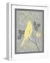 Grey & Yellow Bird III-Gwendolyn Babbitt-Framed Art Print