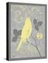 Grey & Yellow Bird III-Gwendolyn Babbitt-Stretched Canvas