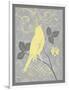 Grey & Yellow Bird III-Gwendolyn Babbitt-Framed Art Print