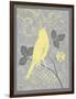 Grey & Yellow Bird III-Gwendolyn Babbitt-Framed Art Print