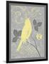 Grey & Yellow Bird III-Gwendolyn Babbitt-Framed Art Print