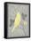 Grey & Yellow Bird III-Gwendolyn Babbitt-Framed Stretched Canvas